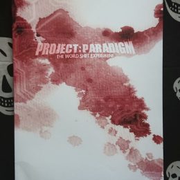 Project: Paradigm rpg